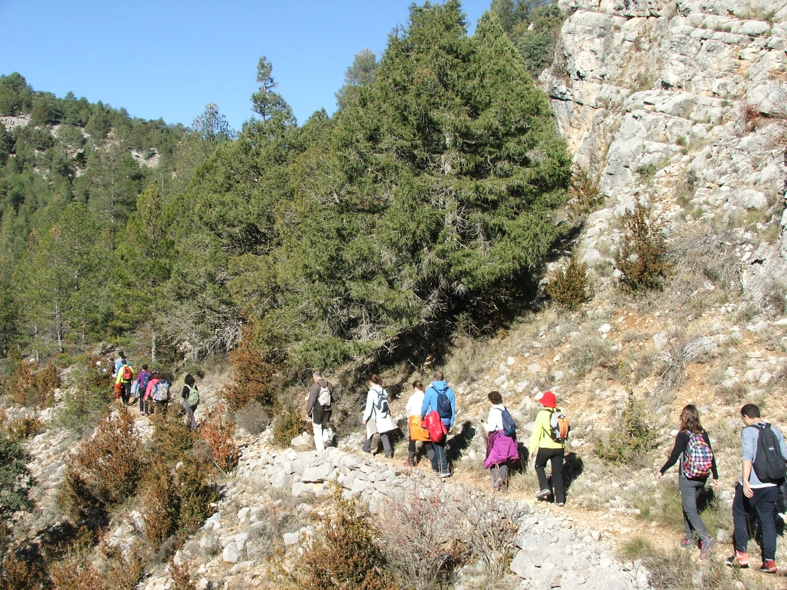 Campus Diputación de Cuenca Senderismo 2017. Senderismo en Huerta del Marquesado PR-CU 38 Sendero de los Arroyos