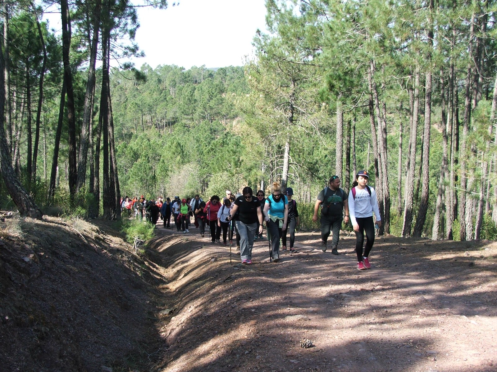 Campus Diputación de Cuenca Senderismo 2019. Senderismo en Boniches. PR-CU 66 El Rodenal de Boniches