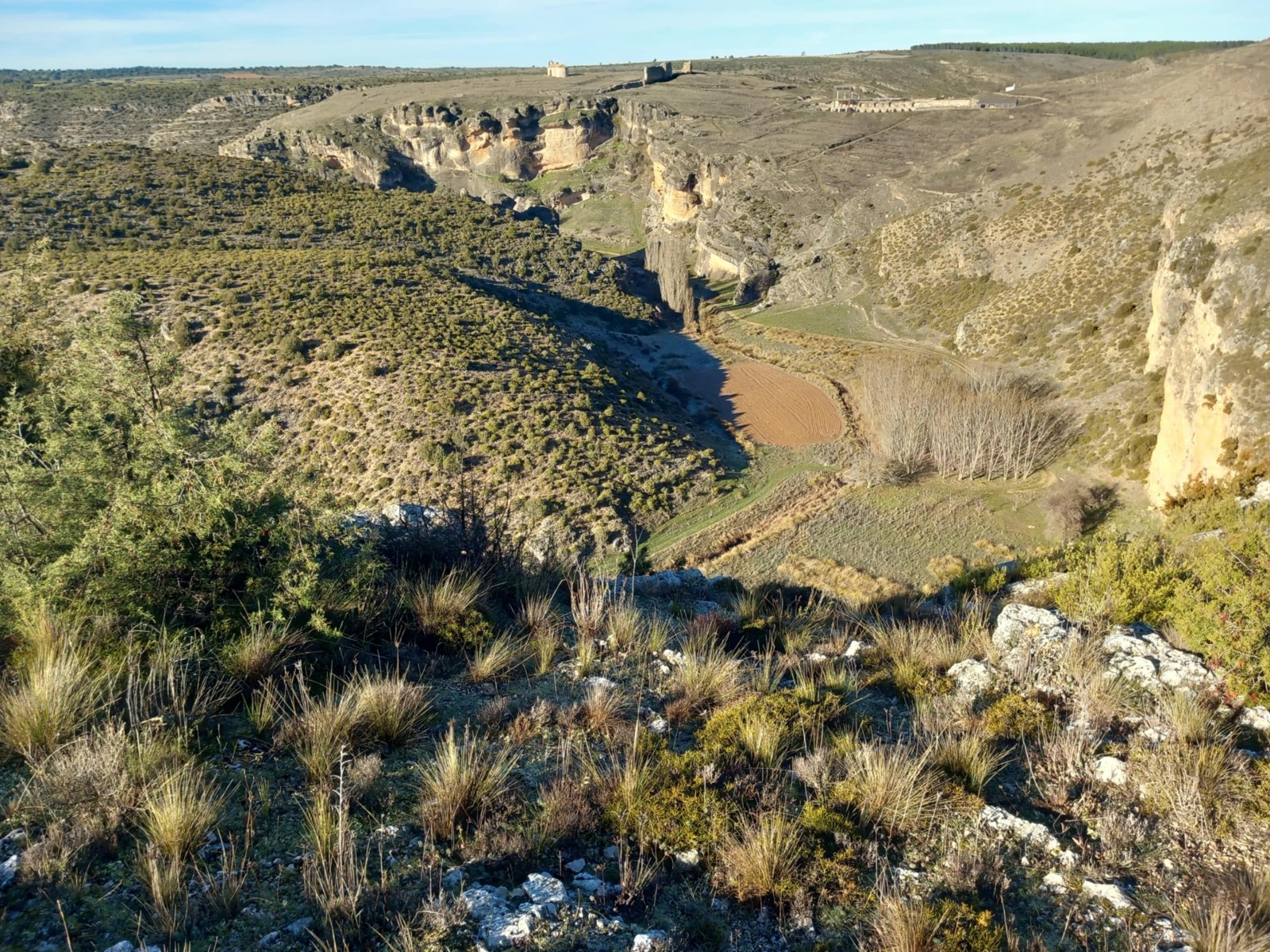 PR-CU 52 De Puente a Puente