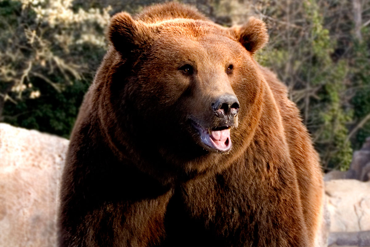 Senderos de Cuenca | Senderos Oso